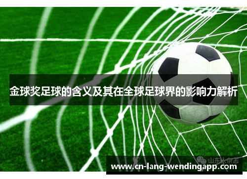 金球奖足球的含义及其在全球足球界的影响力解析