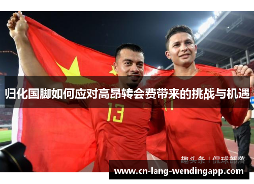 归化国脚如何应对高昂转会费带来的挑战与机遇