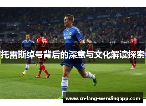 托雷斯绰号背后的深意与文化解读探索