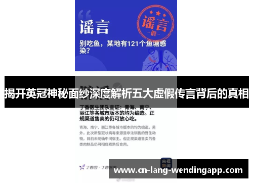 揭开英冠神秘面纱深度解析五大虚假传言背后的真相
