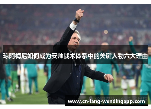 琼阿梅尼如何成为安帅战术体系中的关键人物六大理由