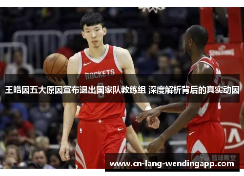 王皓因五大原因宣布退出国家队教练组 深度解析背后的真实动因