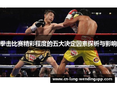 拳击比赛精彩程度的五大决定因素探析与影响 拳击比赛精彩程度的五大决定因素探析与影响