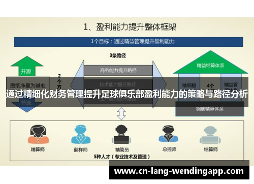 通过精细化财务管理提升足球俱乐部盈利能力的策略与路径分析 通过精细化财务管理提升足球俱乐部盈利能力的策略与路径分析