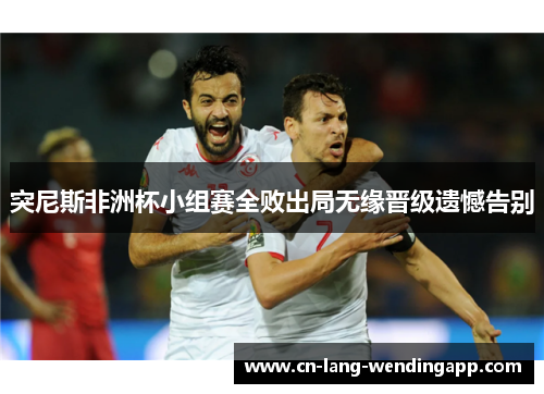 突尼斯非洲杯小组赛全败出局无缘晋级遗憾告别