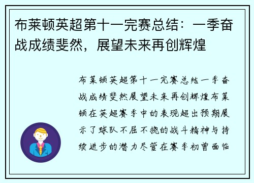 布莱顿英超第十一完赛总结：一季奋战成绩斐然，展望未来再创辉煌